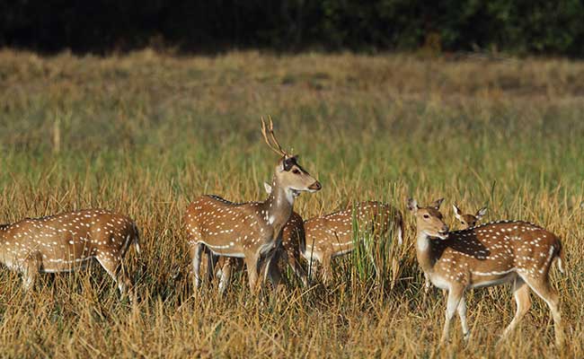 Responsible Rural Tours and Holidays in Sri Lanka