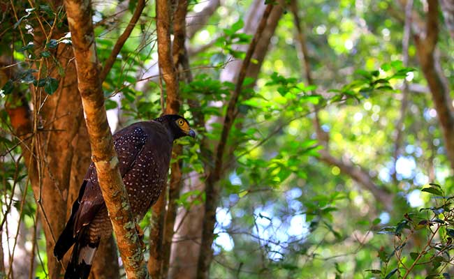 Responsible Rural Tours and Holidays in Sri Lanka