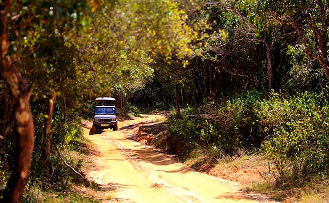 Responsible Rural Tours and Holidays in Sri Lanka