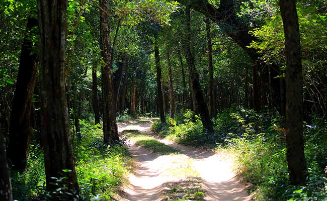 Responsible Rural Tours and Holidays in Sri Lanka