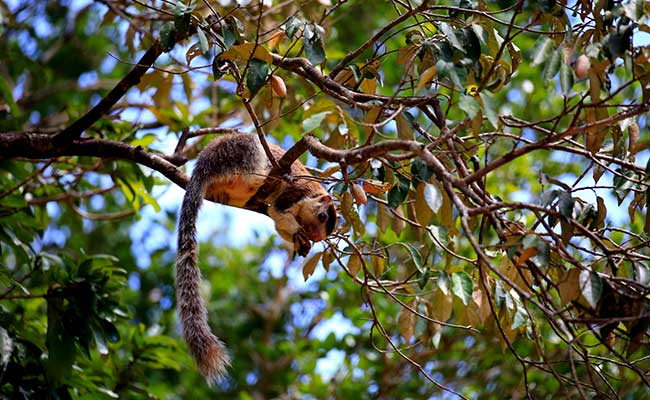 Responsible Rural Tours and Holidays in Sri Lanka