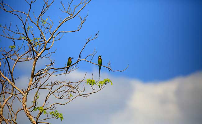 Responsible Rural Tours and Holidays in Sri Lanka