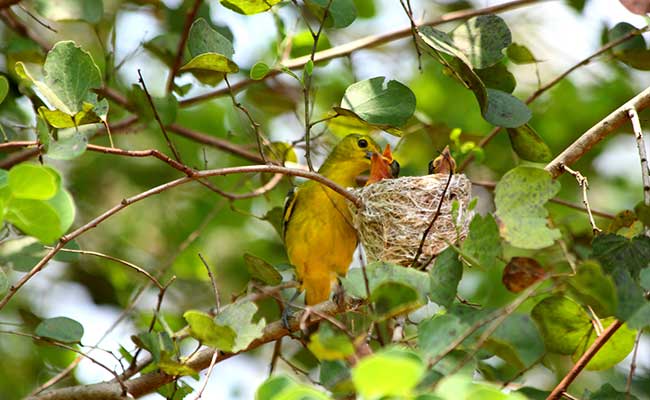 Responsible Rural Tours and Holidays in Sri Lanka