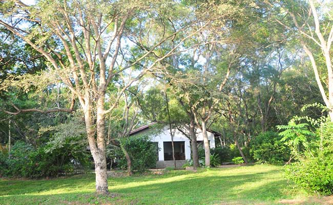 Responsible Rural Tours and Holidays in Sri Lanka