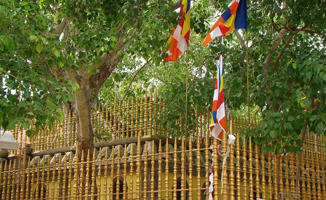 Responsible Rural Tours and Holidays in Sri Lanka
