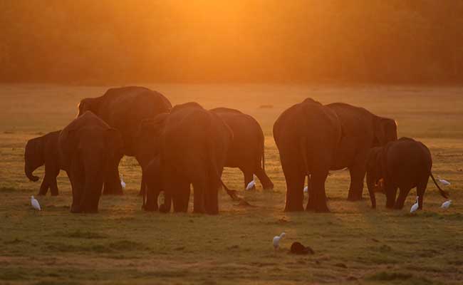 Responsible Rural Tours and Holidays in Sri Lanka