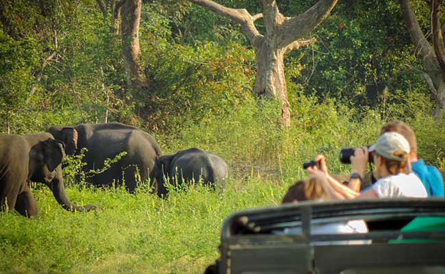 Responsible Rural Tours and Holidays in Sri Lanka