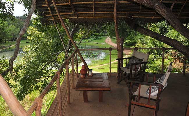 Responsible Rural Tours and Holidays in Sri Lanka