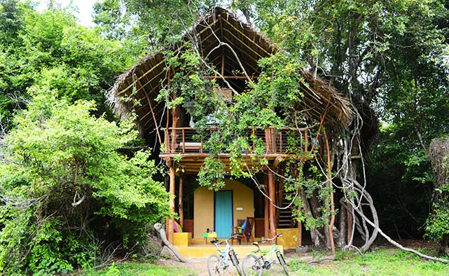 Responsible Rural Tours and Holidays in Sri Lanka