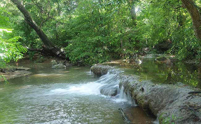 Responsible Rural Tours and Holidays in Sri Lanka