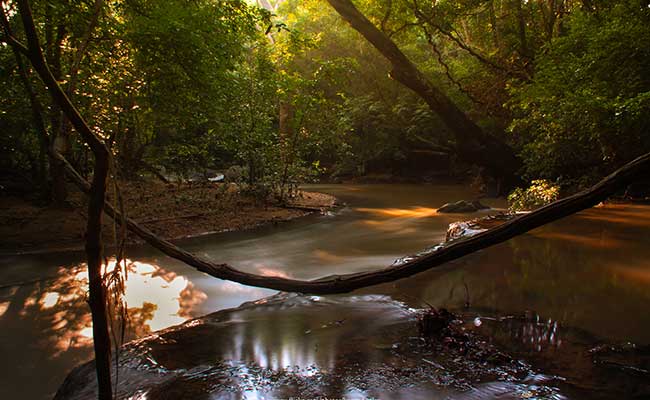 Responsible Rural Tours and Holidays in Sri Lanka