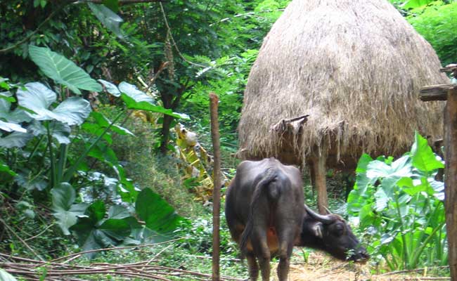 Responsible Rural Tours and Holidays in Sri Lanka