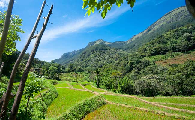 Responsible Rural Tours and Holidays in Sri Lanka