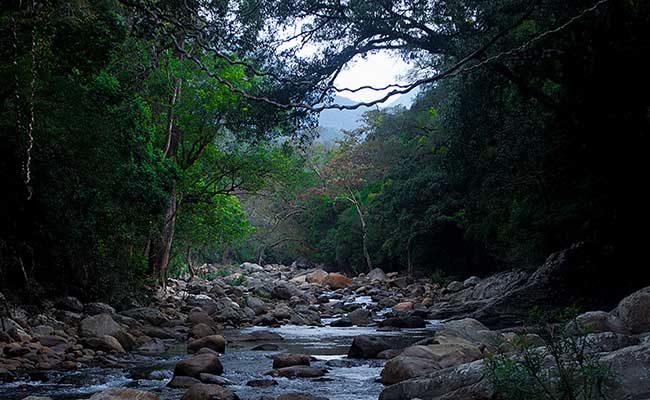 Responsible Rural Tours and Holidays in Sri Lanka