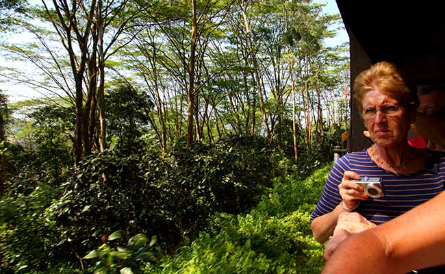 Responsible Rural Tours and Holidays in Sri Lanka