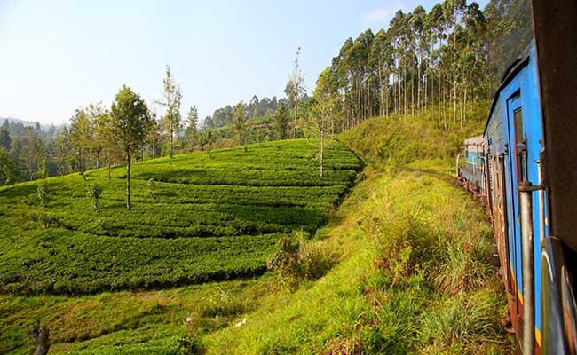 Responsible Rural Tours and Holidays in Sri Lanka