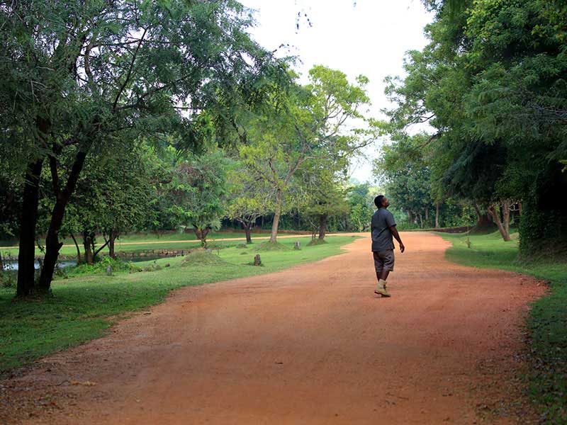 Jungle Walk in Habarana