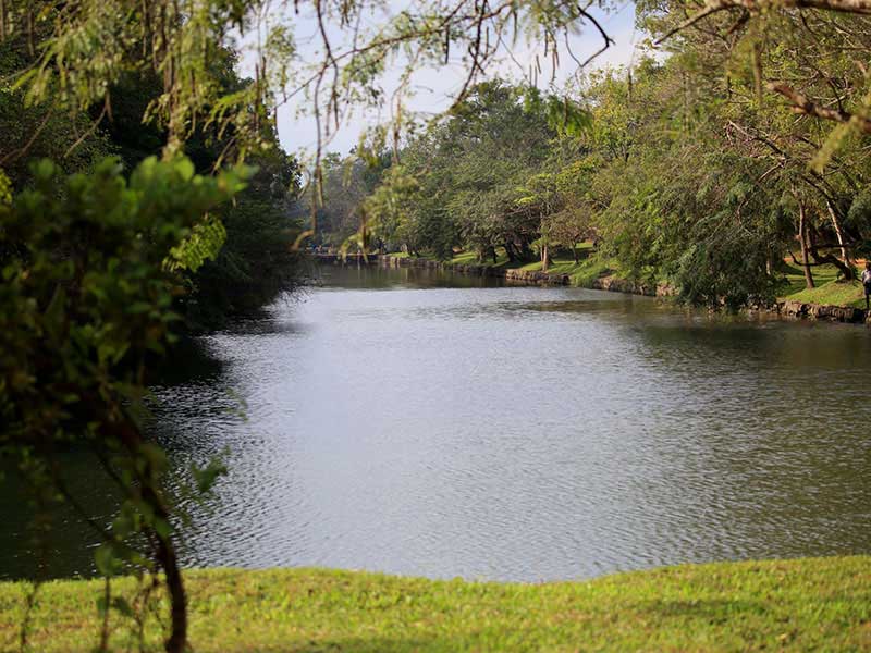 Jungle Walk in Habarana