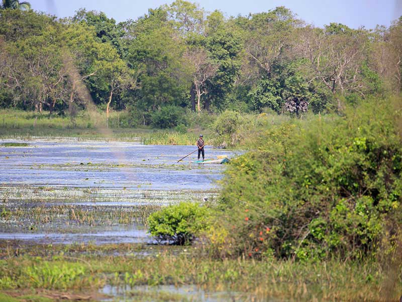 Jungle Walk in Habarana
