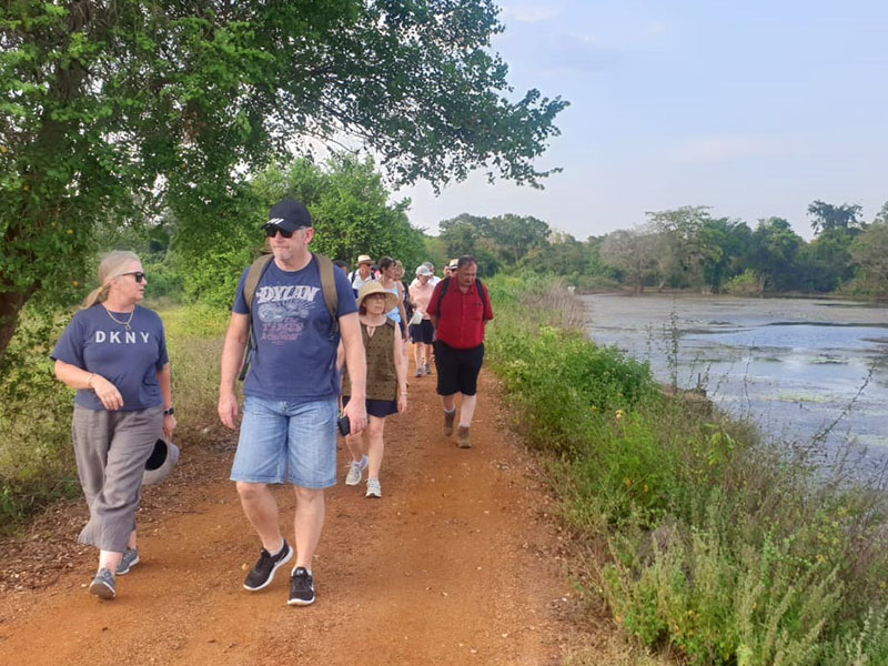 Jungle Walk in Habarana