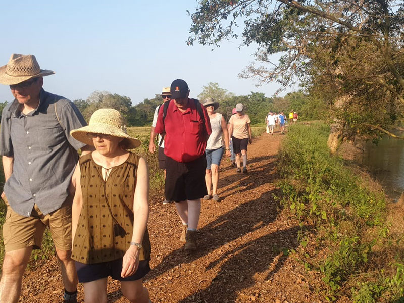 Jungle Walk in Habarana