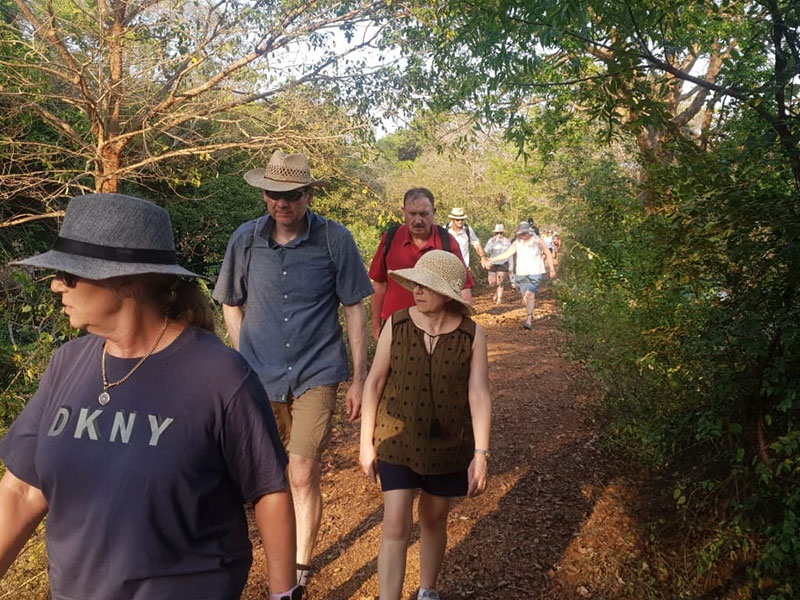 Jungle Walk in Habarana