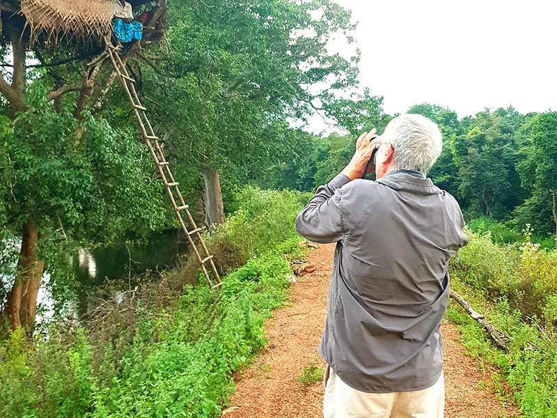 Jungle Walk in Habarana