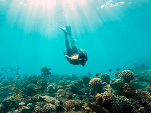 Liveaboard Sailing Tours to Uninhabited Maldives Island