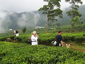Sri Lanka & Maldives Highlights Tours
