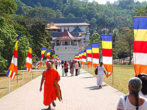 Sri Lanka & Maldives Highlights Tours