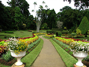 Sri Lanka & Maldives Highlights Tours