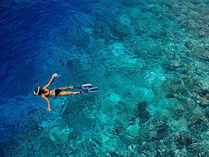 Sri Lanka & Maldives Highlights Tours