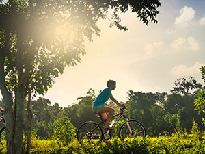 Sri Lanka & Maldives Highlights Tours