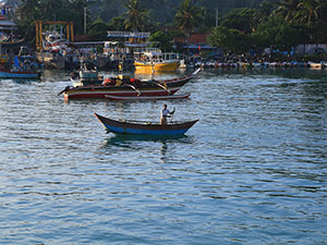Wildlife and Diving Tours in Sri Lanka and Maldives