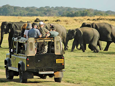 Wildlife Photography Tours of Sri Lanka