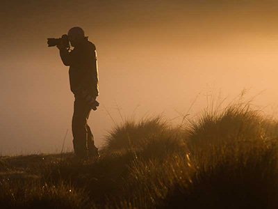 Wildlife Photography Tours of Sri Lanka