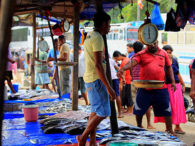 Most popular Sri Lanka Photography Tour