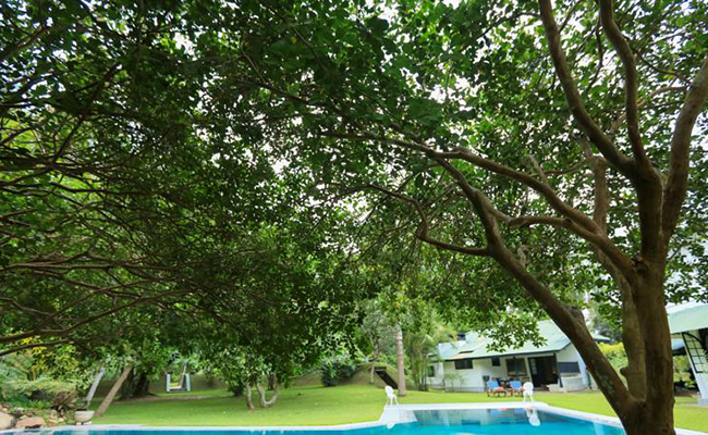 Romantic Honeymoon Holidays in Sri Lanka