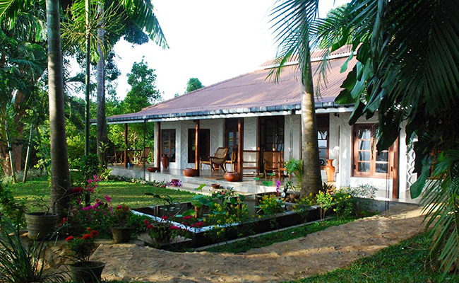 Romantic Honeymoon Holidays in Sri Lanka