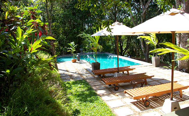 Romantic Honeymoon Holidays in Sri Lanka