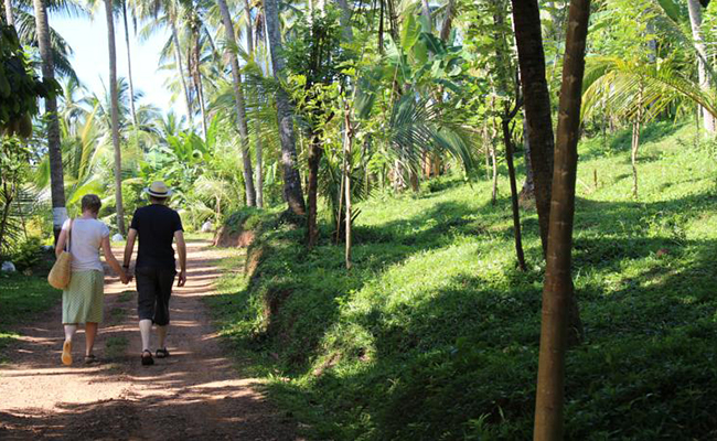 Romantic Honeymoon Holidays in Sri Lanka