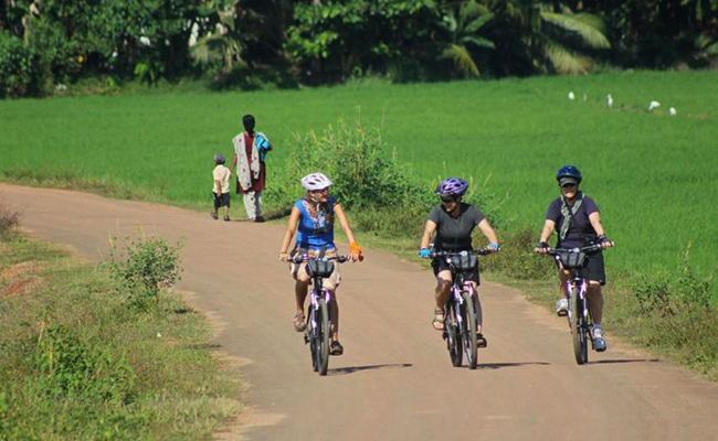 Romantic Honeymoon Holidays in Sri Lanka