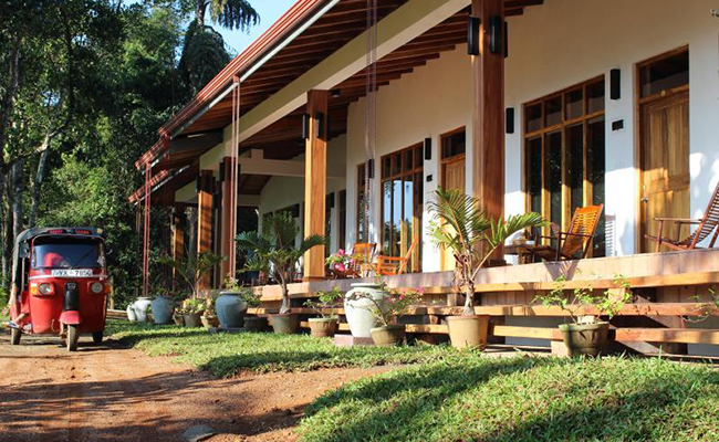 Romantic Honeymoon Holidays in Sri Lanka