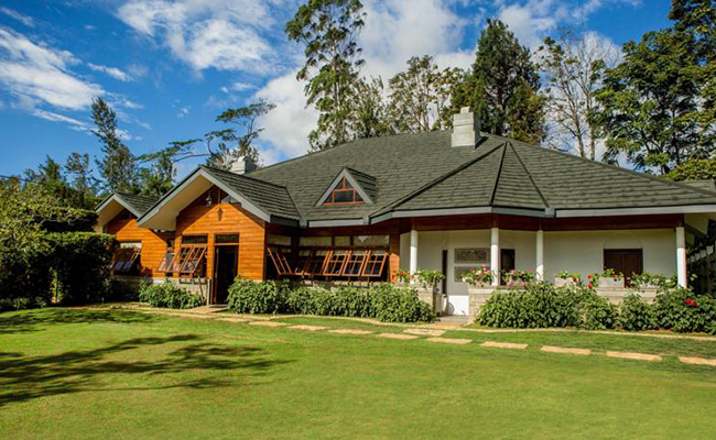 Romantic Honeymoon Holidays in Sri Lanka