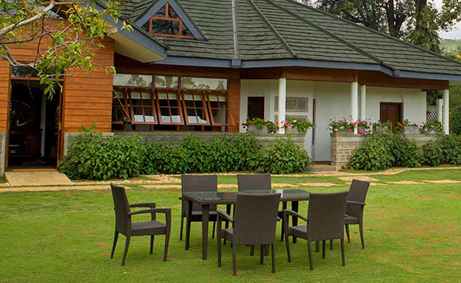 Romantic Honeymoon Holidays in Sri Lanka
