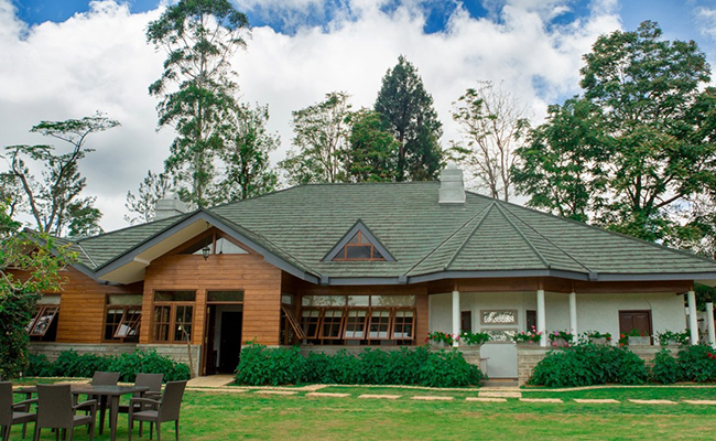 Romantic Honeymoon Holidays in Sri Lanka