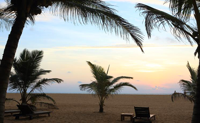 Romantic Honeymoon Holidays in Sri Lanka
