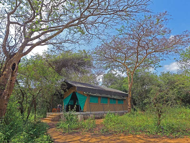 Honeymoon Getaways in Sri Lanka