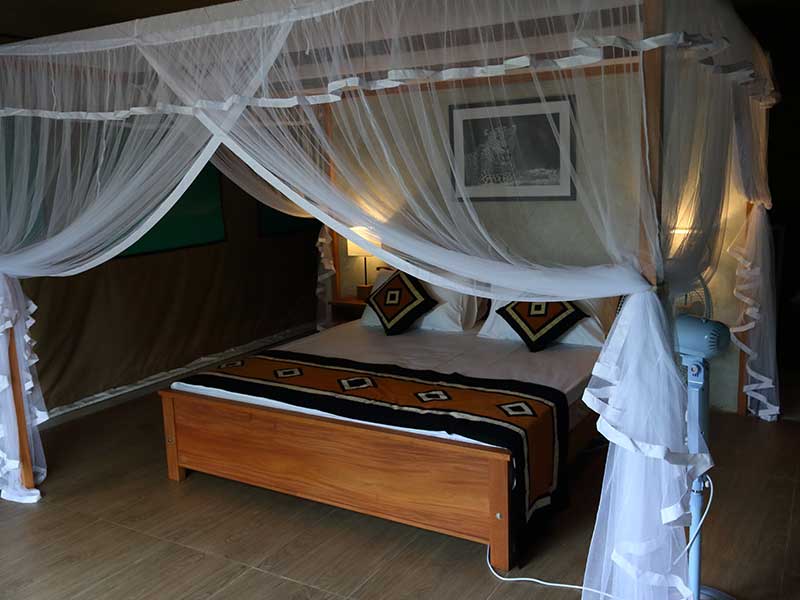 Honeymoon Getaways in Sri Lanka