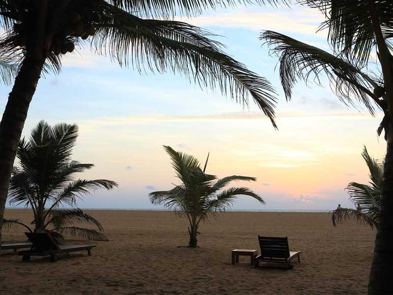 Honeymoon Getaways in Sri Lanka